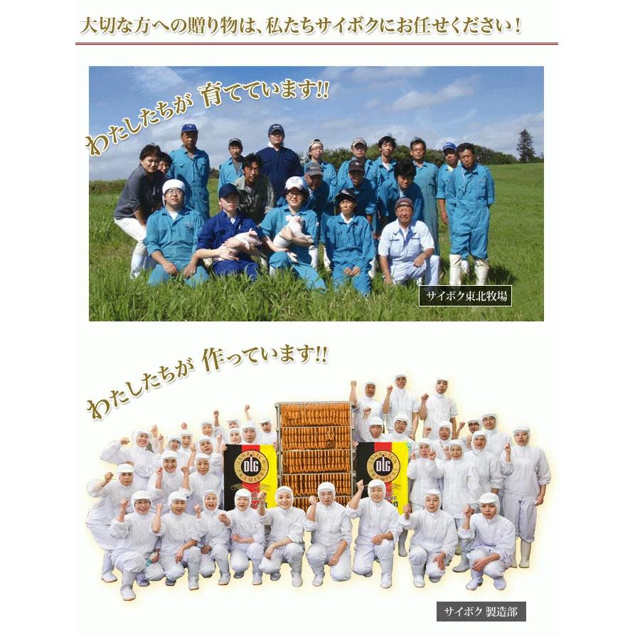 ギフト お歳暮 御歳暮 内祝い 詰め合わせ ハム 肉 送料無料 54FA 贈り物 贈答品 お礼 お取り寄せグルメ サイボク お返し お年賀 冬ギフト クリスマス | サイボクゴールデンポーク | 15
