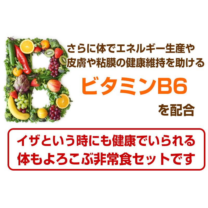 （予約商品：6月21日頃入荷予定）非常食 防災用品 5年保存 非常食セット 3日分18種類21品 非常食3日間満足セット｜saibou｜06