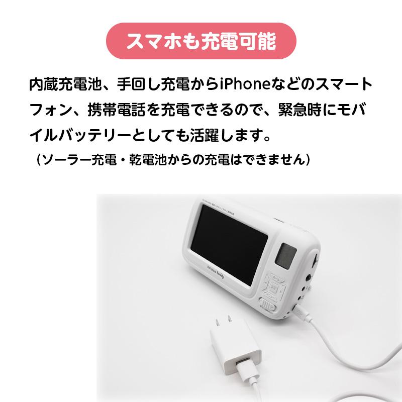 innowa buddy Max ソーラー充電 手回し ポータブルテレビ・ラジオ 4WAY