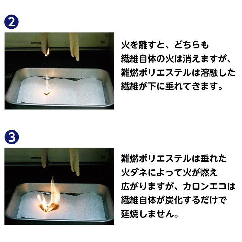 日本防炎協会認定品】カロンエコ 超コンパクトパック毛布（防災 避難