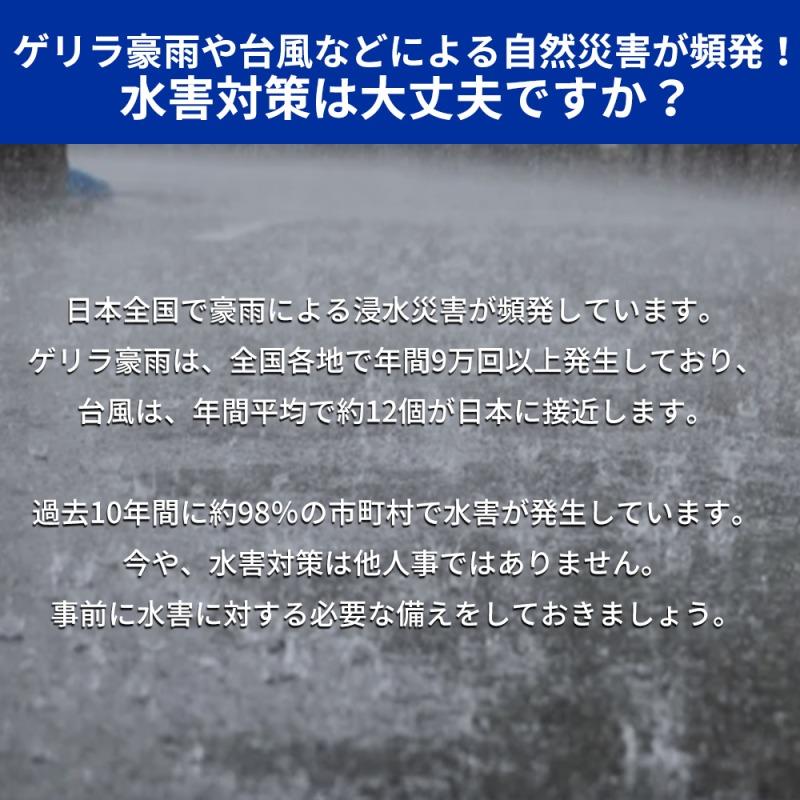 小林薬品 RABLISS 緊急簡易土のう 10枚入 KO375 |  | 02