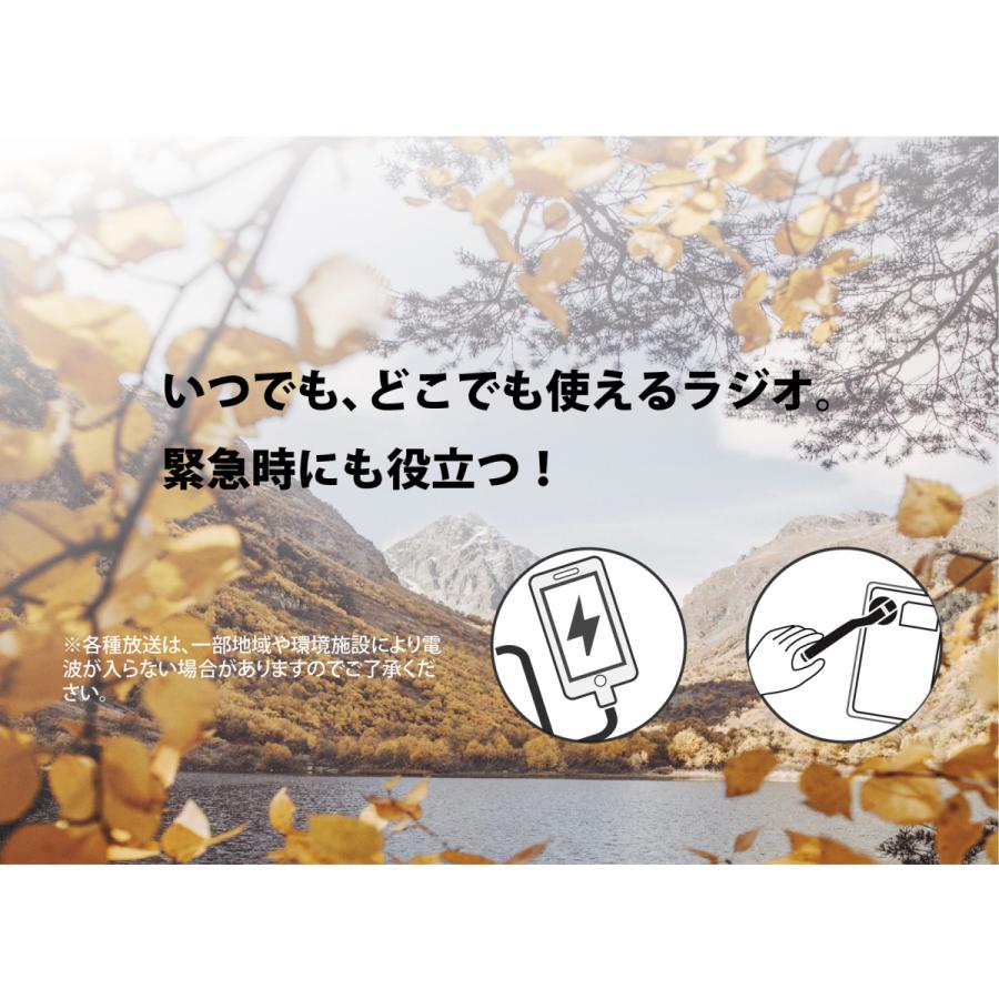 SaiEL 手回し充電機能付き2.8インチワンセグポケットラジオ AM/FM/TV