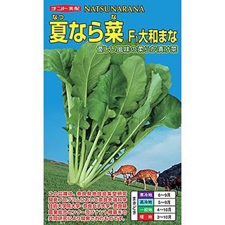大和マナの種 夏なら菜 小袋 5ml 野菜の種 菜園くらぶ Yahoo 店 通販 Yahoo ショッピング