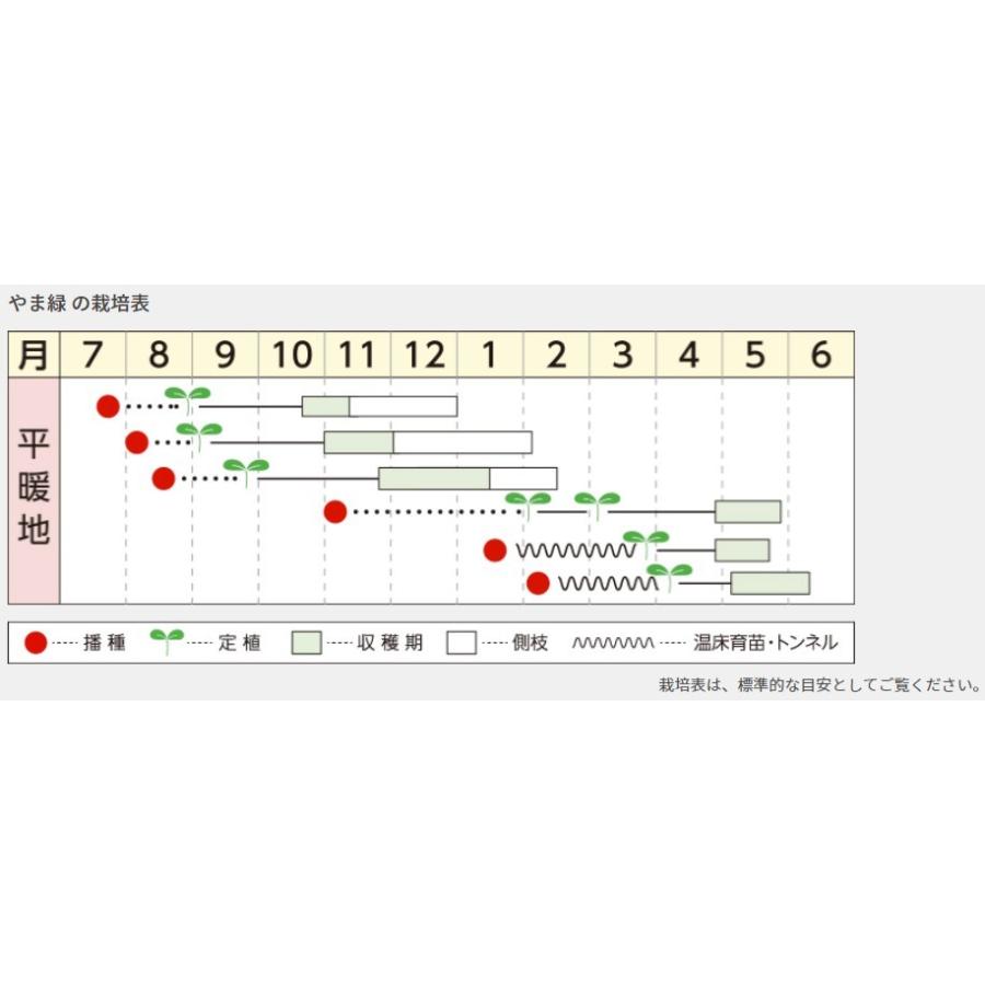 ブロッコリーの種 やま緑 小袋 : 菜園くらぶ Yahoo!店 - 通販 - Yahoo