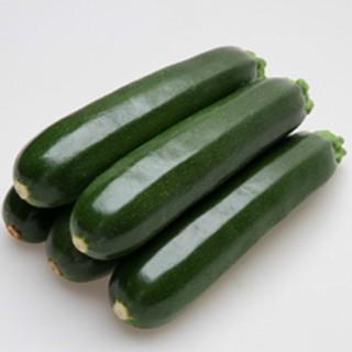 SEAL限定商品 ズッキーニの種 グリーンボート2号 野菜の種 新商品 100粒