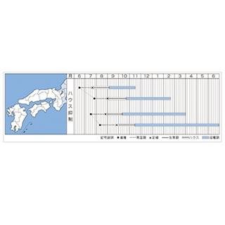 トマトの種 桃太郎ピース  1000粒 ( 野菜の種 )_1