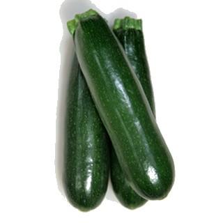 ズッキーニの種 グリーンボート1号 100粒 ( 野菜の種 ) : 菜園くらぶ