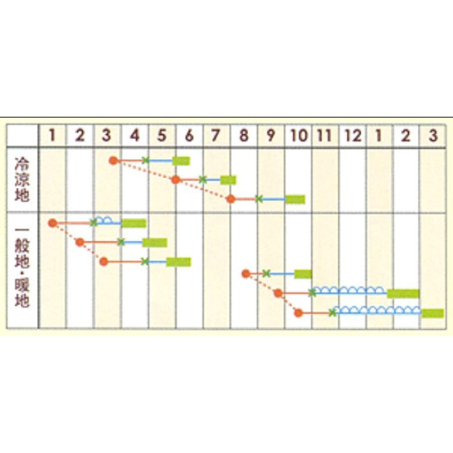 【公式】 やわらか菜　の種 レタス　ルージュ コート5千粒 【E1842540201】(10890円)