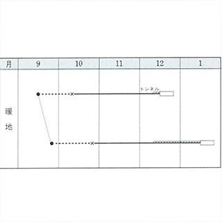 レタスの種 シスコビバ ペレットL5千粒 ( 野菜の種 )の画像
