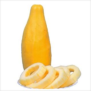 ウリ 種 バナナまくわ 約1.5ml（ 野菜 野菜種子 野菜種 ） ( 野菜の