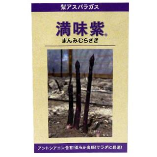 アスパラガスの種 満味紫 小袋 ( 野菜の種 )（Yahoo!・菜園くらぶ Yahoo!店）