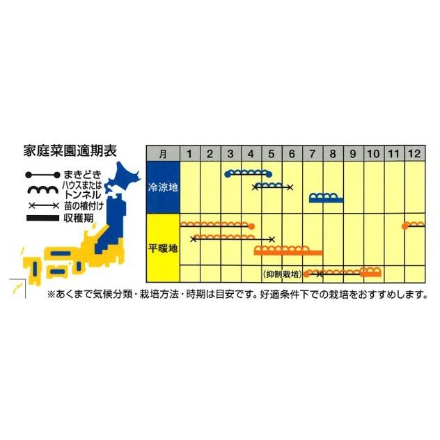 スイカの種  飛紅船ラルク  200粒 ( 野菜の種 )