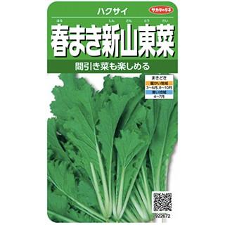 葉菜の種 春まき新山東菜 実咲小袋 野菜の種 菜園くらぶ Yahoo 店 通販 Yahoo ショッピング