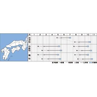 レタスの種 アリスト ペレットL5千粒 ( 野菜の種 )_1