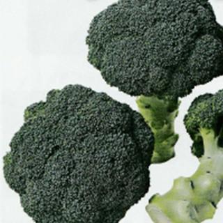 ブロッコリーの種 サマードーム 2000粒 ( 野菜の種 ) : 菜園くらぶ