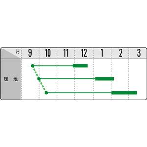 ダイコンの種 役者大門 2dlの画像