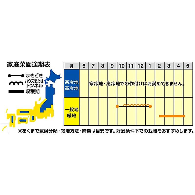 ダイコンの種 桜の砦 ペレット5千粒（3L） ( 野菜の種 )の画像