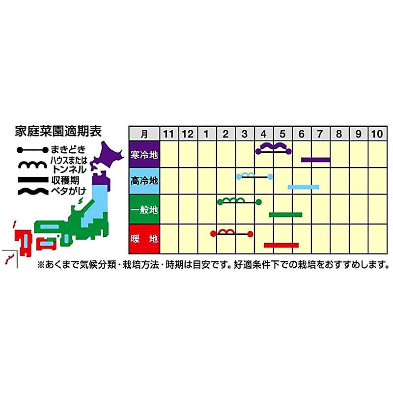 ダイコンの種 蒼の砦 ペレット5千粒（3L） ( 野菜の種 )