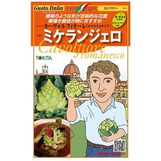 21高い素材 カリフラワー ロマネスコ の種 ミケランジェロ 小袋 約50粒 野菜の種
