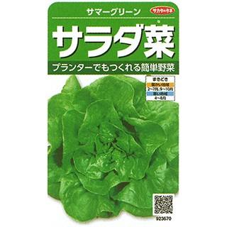 葉菜の種 サラダ菜 サマーグリーン 実咲小袋 ( 野菜の種 ) : 菜園 