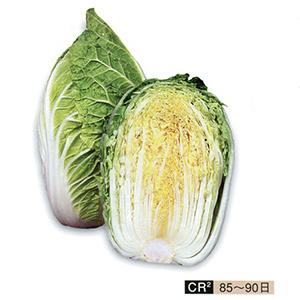 [SNSで話題 本日発送 ] MWTGGMQ4R3S (MWTGGMQ4R3S)