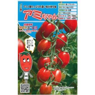 ミニトマトの種 アミちゃん 8粒 ( 野菜の種 ) : 菜園くらぶ Yahoo!店