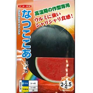 スイカの種 なつここあ 200粒 ( 野菜の種 )