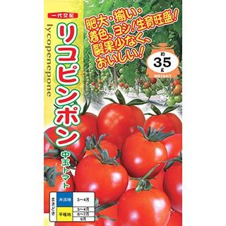 トマトの種 リコピンポン 500粒 ( 野菜の種 )
