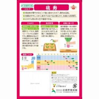 カブの種 ピンクカブ 桃寿 1dl ( 野菜の種 )の画像