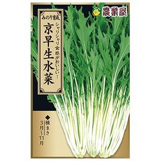 水菜の種 京早生水菜 5ml(約1600粒) ( 野菜の種 ) : 菜園くらぶ Yahoo