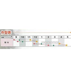 レタスの種 陽まり（ひまり） Lコート五千粒の画像