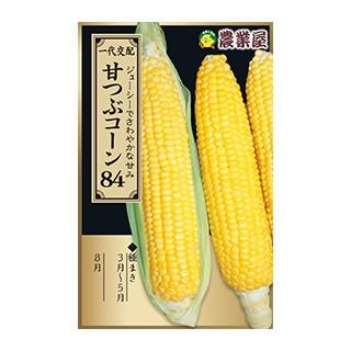 トウモロコシ出品 スイートコーン カクテル84EX 種・小袋 （30粒） F1（一代交配種） 爆