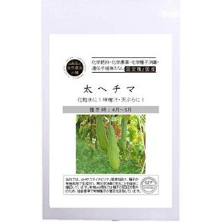有機種子 ヘチマの種 太ヘチマ 小袋｜saien-club｜02