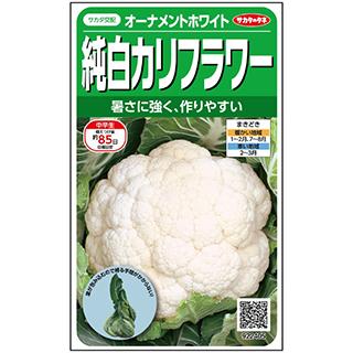 カリフラワーの種 オーナメントホワイト Ｐ５千粒 ペレットL5千粒の画像