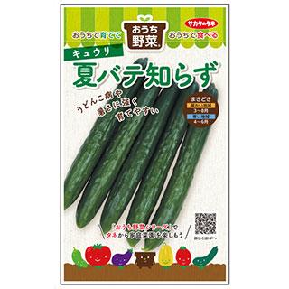 キュウリの種 おうち野菜 夏バテ知らず 美咲小袋 ( 野菜の種 ) : 菜園