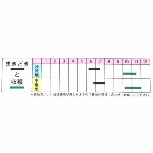 小豆の種 丹波大納言 ( あずき ) 小袋 (70ml)|saien-club|02