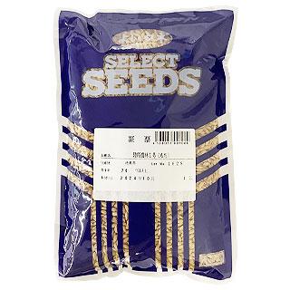 数量限定 陸稲(オカボ)モチ 農林一号 1L 人気商品！ ( 野菜の種