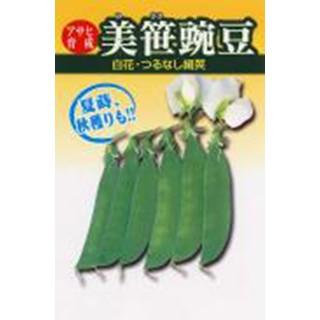 エンドウの種 絹さや美笹えんどう 1dl ( 野菜の種 ) : 菜園くらぶ