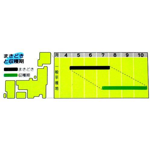 ささげの種 赤種三尺ささげ 小袋 : 菜園くらぶ Yahoo!店 - 通販