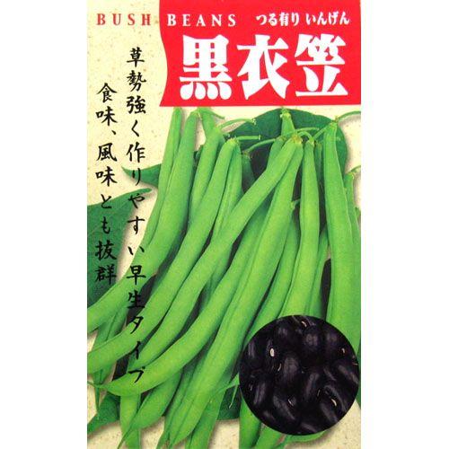 つるありインゲン豆の種 黒種衣笠 30ml ( 野菜の種 )｜saien-club
