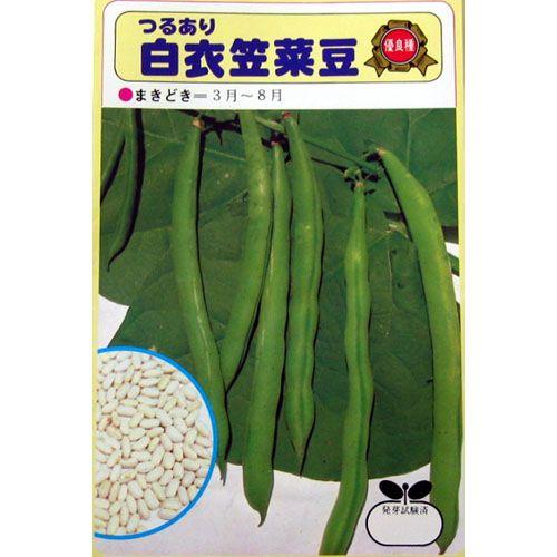 つるありインゲン豆の種 白衣笠 30ml 野菜の種 菜園くらぶ Yahoo 店 通販 Yahoo ショッピング