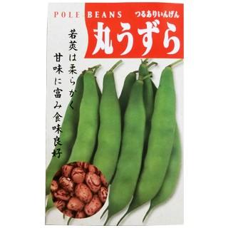 つるありインゲン豆の種 丸うずら 小袋 野菜の種 菜園くらぶ Yahoo 店 通販 Yahoo ショッピング