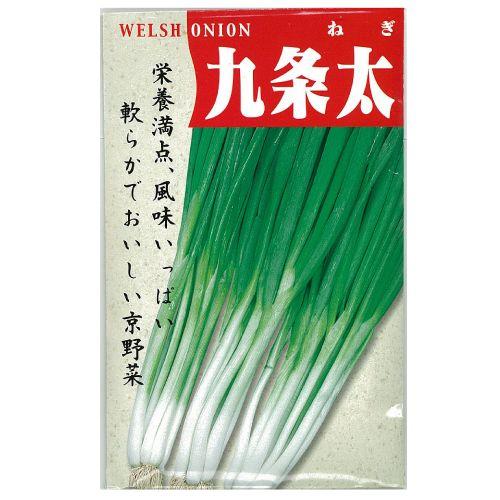 ネギの種 九条太 野菜の種 評価 1dl