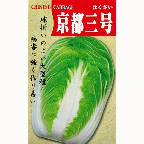 白菜の種 京都三号 30ml ( 野菜の種 )｜saien-club