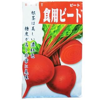 二十日大根の種 食用ビート ビーツ 小袋 約40ml 野菜の種