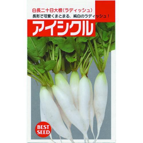 二十日大根の種 アイシクル 送料無料カード決済可能 小袋 約10ml 野菜の種