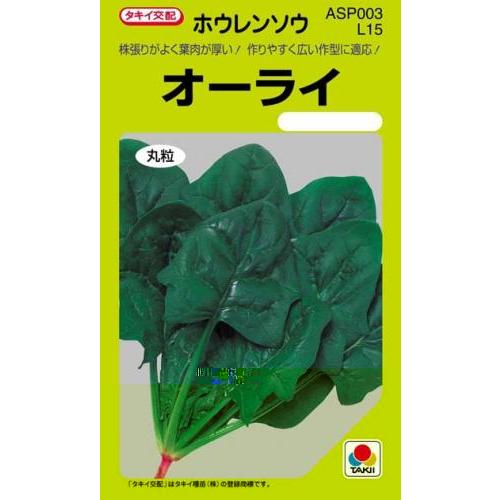 ほうれん草の種 オーライ ＭＦ 25ml ( 野菜の種 )｜saien-club