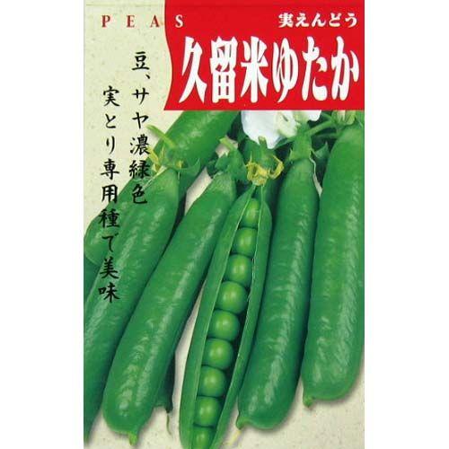 実取エンドウの種 久留米ゆたか 20ml ( 野菜の種 )