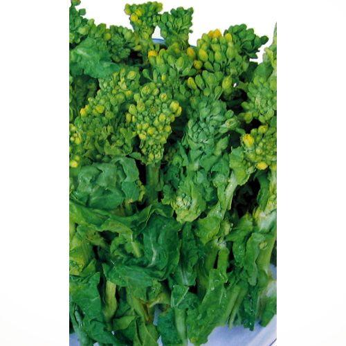 食用菜の花 摘み菜の種 小袋 約8ml 野菜の種 菜園くらぶ Yahoo 店 通販 Yahoo ショッピング