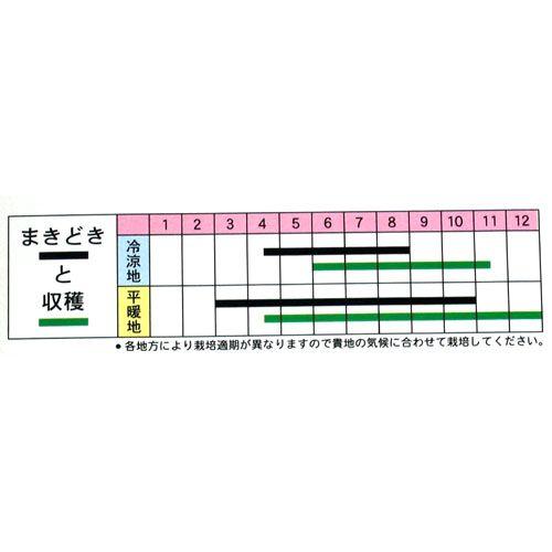 レタスの種 赤ちりめんちしゃ 2ml ( 野菜の種 ) : 菜園くらぶ Yahoo!店